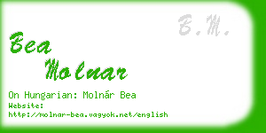 bea molnar business card